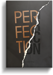 Perfection in Imperfection by Janice Wong – review