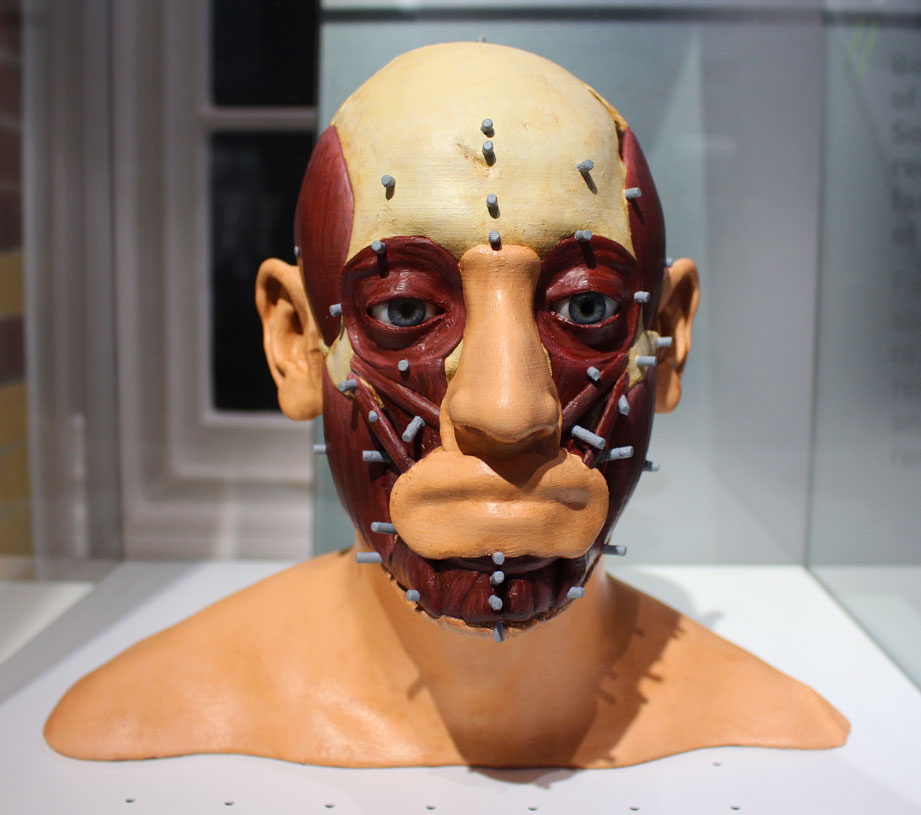 Richard III model