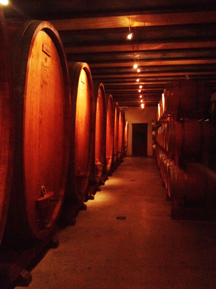 vilmart cellar