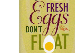 Fresh Eggs Don’t Float by Lara DePetrillo – review