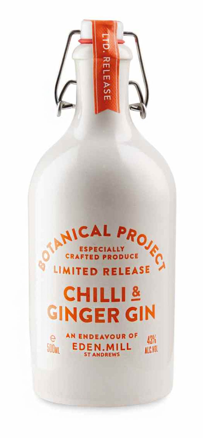 Chilli and Ginger Gin from ALDI