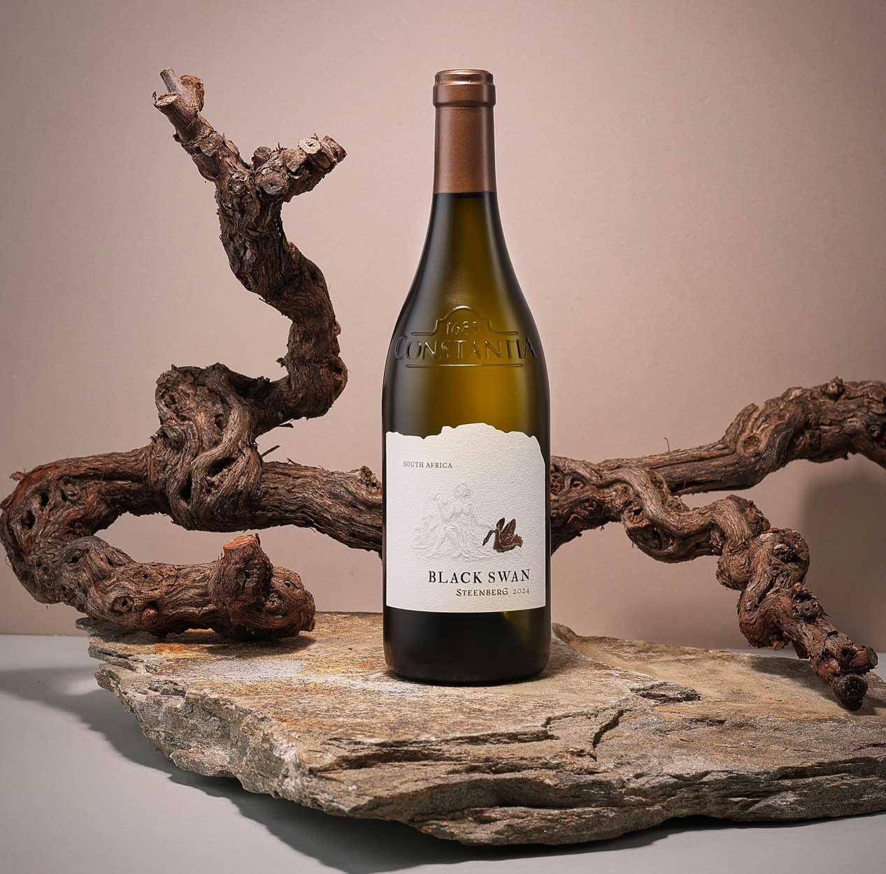 Steenbergs Black Swan