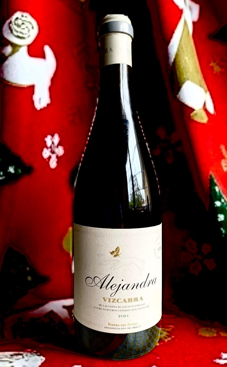 Vizcarra Alejandra Blanco 2021