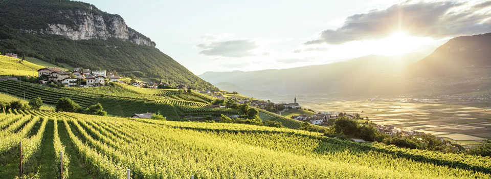 Sudtirol-landscape