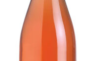 Dianthos Rose