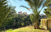 Elche