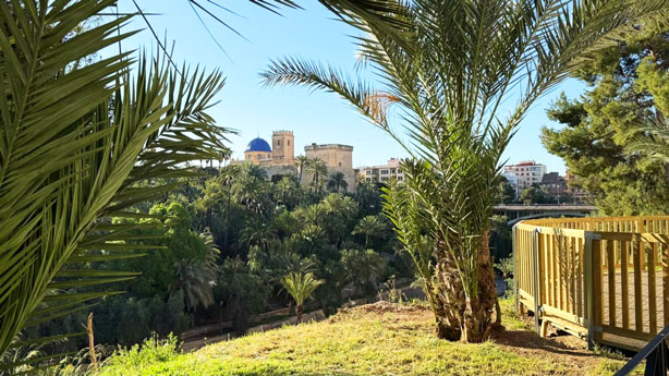 Elche